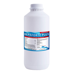 Hepaforte Plus